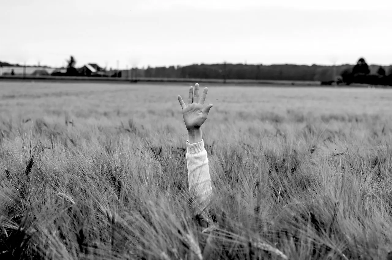 A hand peeking out from behind the grass in the field